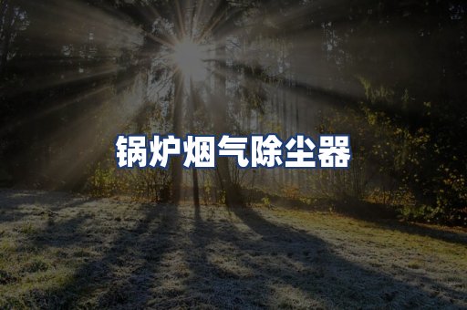 锅炉烟气除尘器